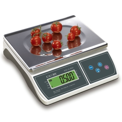 DIGITAL ELECTRONIC WEIGHING SCALE CAMRY (ACS-ZC41G)