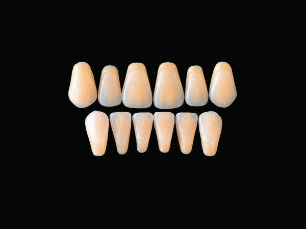 Hard Resin Teeth (C3-C6) Anteriors Protex Hard Resin Teeth Laboratory Products Selangor, Malaysia, Kuala Lumpur (KL), Puchong Supplier, Suppliers, Supply, Supplies | USE Electronics (M) Sdn Bhd