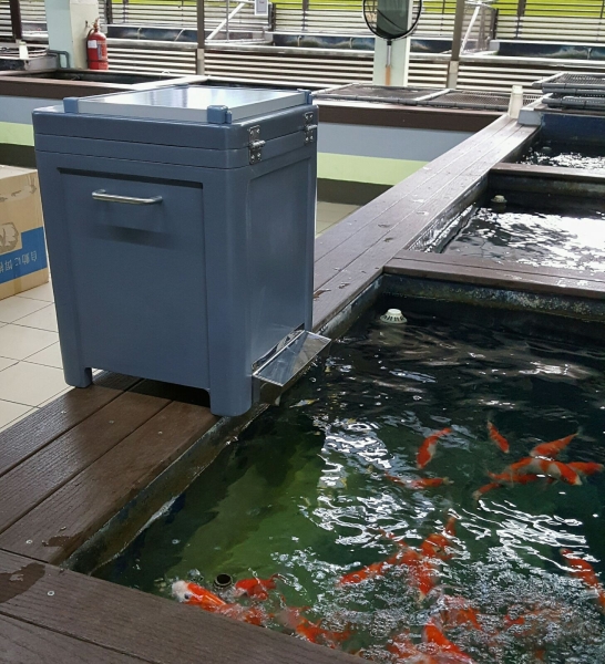 Solar koi food feeder Koi Pond Accessories Johor Bahru (JB), Malaysia Supply Supplier Suppliers | Kohaku Koi House Sdn Bhd