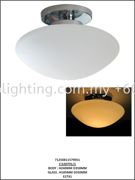 Z G30791-1 Ceilling Lights Indoor Lighting Johor Bahru JB Skudai Renovation | One Stop Lighting & Renovation