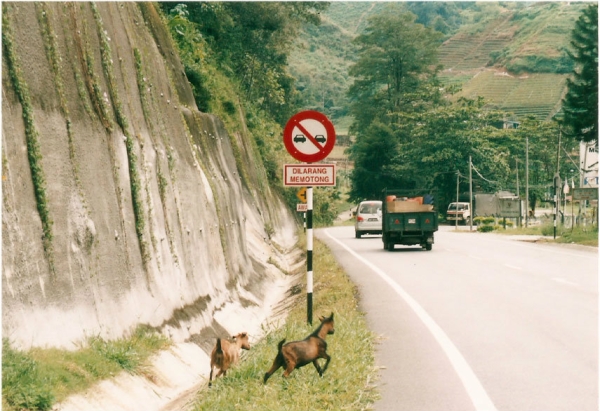 Road Sign Board  Road Sign Board Selangor, Malaysia, Kuala Lumpur (KL), Ampang Manufacturer, Maker, Supplier, Supply | Fong Tat Advertising Sdn Bhd