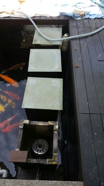 Original with Glass top...looks dirty - Algae Filter Cover/Deck/Fence Johor Bahru (JB), Malaysia Supply Supplier Suppliers | Kohaku Koi House Sdn Bhd