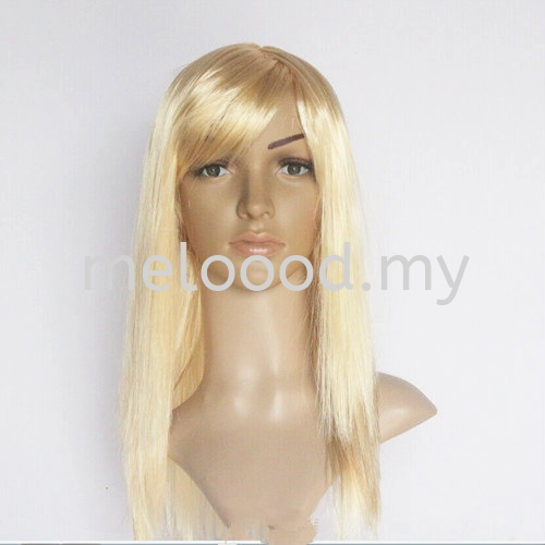 Long Straight 50cm Wig - 4501 0222