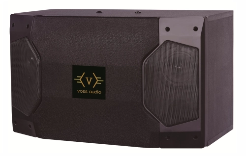 VOSS Audio MK-810 Karaoke Speaker 