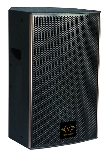 VOSS Audio T-12 PA Speaker 