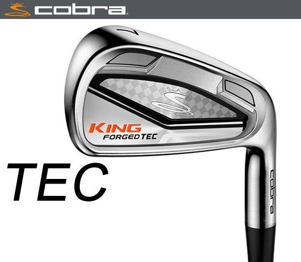 KING FORGED TEC Steel IRONS