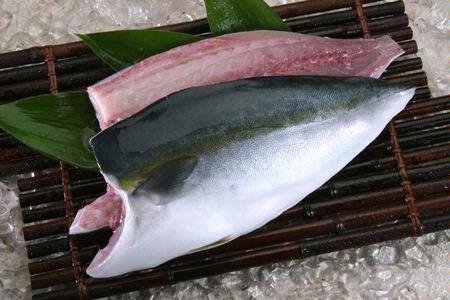 Hamachi Fillet / Buri Fillet