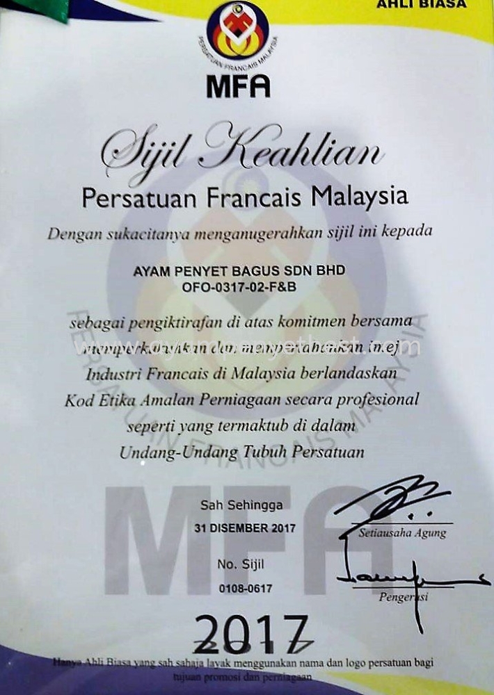 MFA Certificate