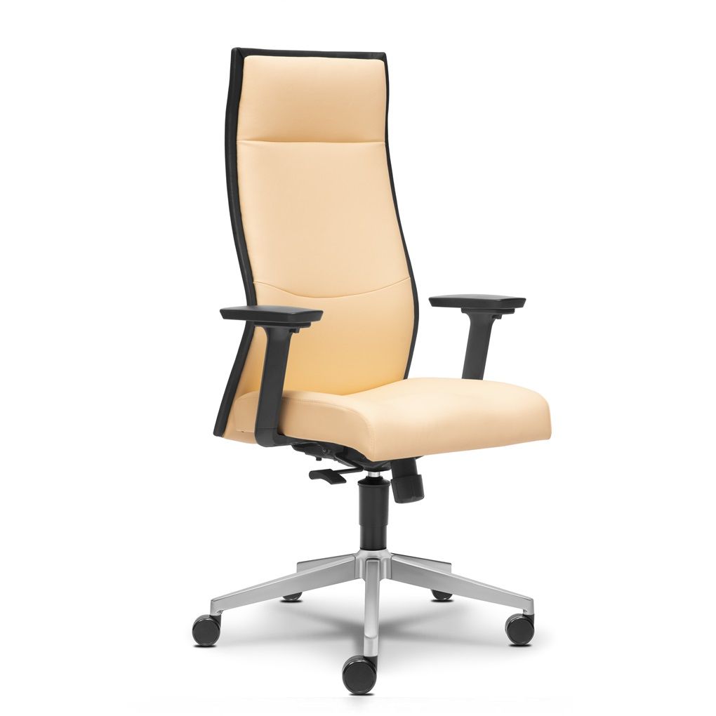 Executive Office Chair
