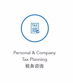 Personal and Company Tax Planning 税务咨询