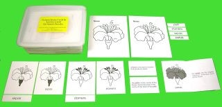 NEW! - Nomenclature and Activity Cards for Nature Puzzles (CM142) Puzzles Kuala Lumpur (KL), Malaysia, Selangor, Cheras Montessori, Materials, Supplier, Supply | D'Argosy Educational Equipment (M) Sdn Bhd