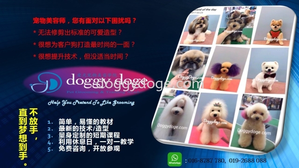 Connect With Us For No Reason At All..... Others Selangor, Malaysia, Kuala Lumpur (KL), Subang Jaya Course, Academy, Service | Doggy Doge Grooming & Training Academy