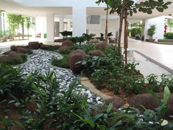  Softscape Molek Pine 4 Johor Landscape Projects Kuala Lumpur (KL), Malaysia, Selangor, Johor Bahru (JB), Damansara, Bukit Indah Services, Projects | Ecogarden Landscape Sdn Bhd
