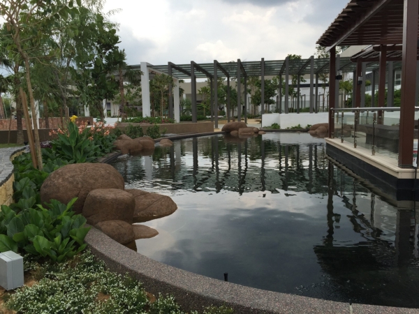  Softscape Molek Pine 4 Johor Landscape Projects Kuala Lumpur (KL), Malaysia, Selangor, Johor Bahru (JB), Damansara, Bukit Indah Services, Projects | Ecogarden Landscape Sdn Bhd