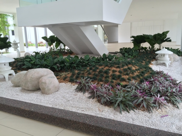  Softscape Molek Pine 4 Johor Landscape Projects Kuala Lumpur (KL), Malaysia, Selangor, Johor Bahru (JB), Damansara, Bukit Indah Services, Projects | Ecogarden Landscape Sdn Bhd