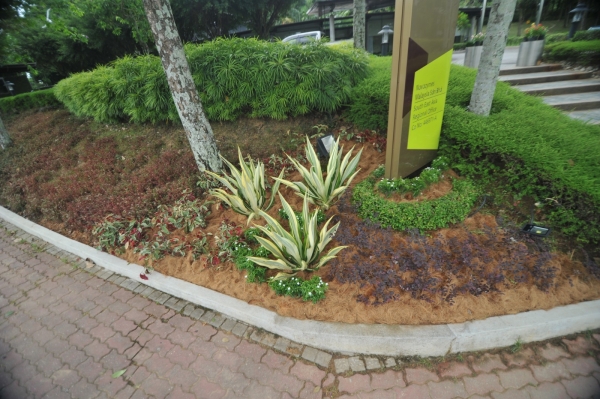  Softscape Novozymes Kuala Lumpur Landscape Projects Kuala Lumpur (KL), Malaysia, Selangor, Johor Bahru (JB), Damansara, Bukit Indah Services, Projects | Ecogarden Landscape Sdn Bhd