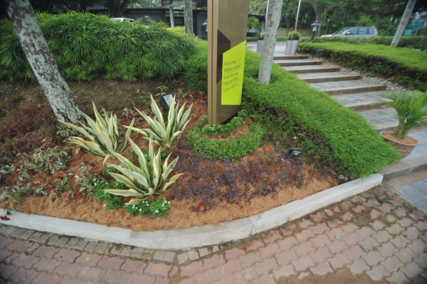  Softscape Novozymes Kuala Lumpur Landscape Projects Kuala Lumpur (KL), Malaysia, Selangor, Johor Bahru (JB), Damansara, Bukit Indah Services, Projects | Ecogarden Landscape Sdn Bhd