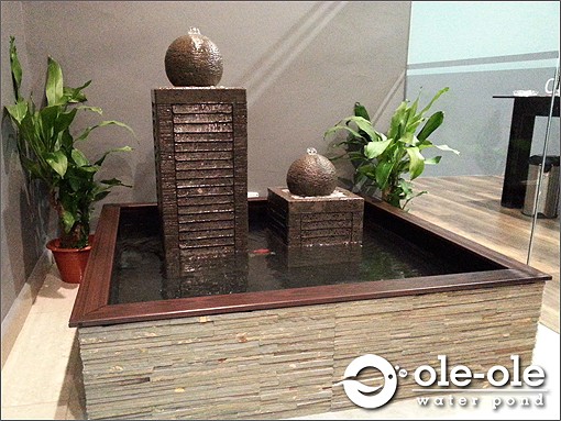 ECOP2B (a)1.Water Ponds Design Malaysia.Kolam Ikan.Hiasan.Johor.Fengshui.Home Deco.风水池.园艺.鱼池