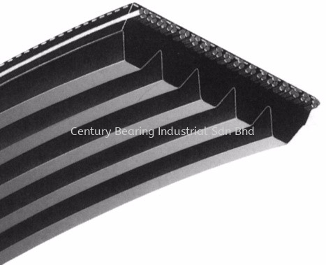  V Ribbed Belts Industrial / Automotive-Power Transmission Belts Selangor, Malaysia, Kuala Lumpur (KL), Puchong Supplier, Suppliers, Supply, Supplies | Century Bearing Industrial Sdn Bhd