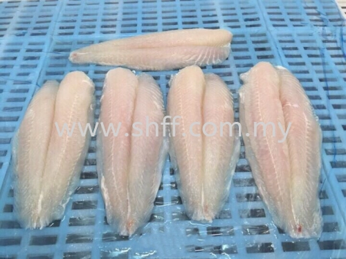 Pangasius / Dory Fillet 