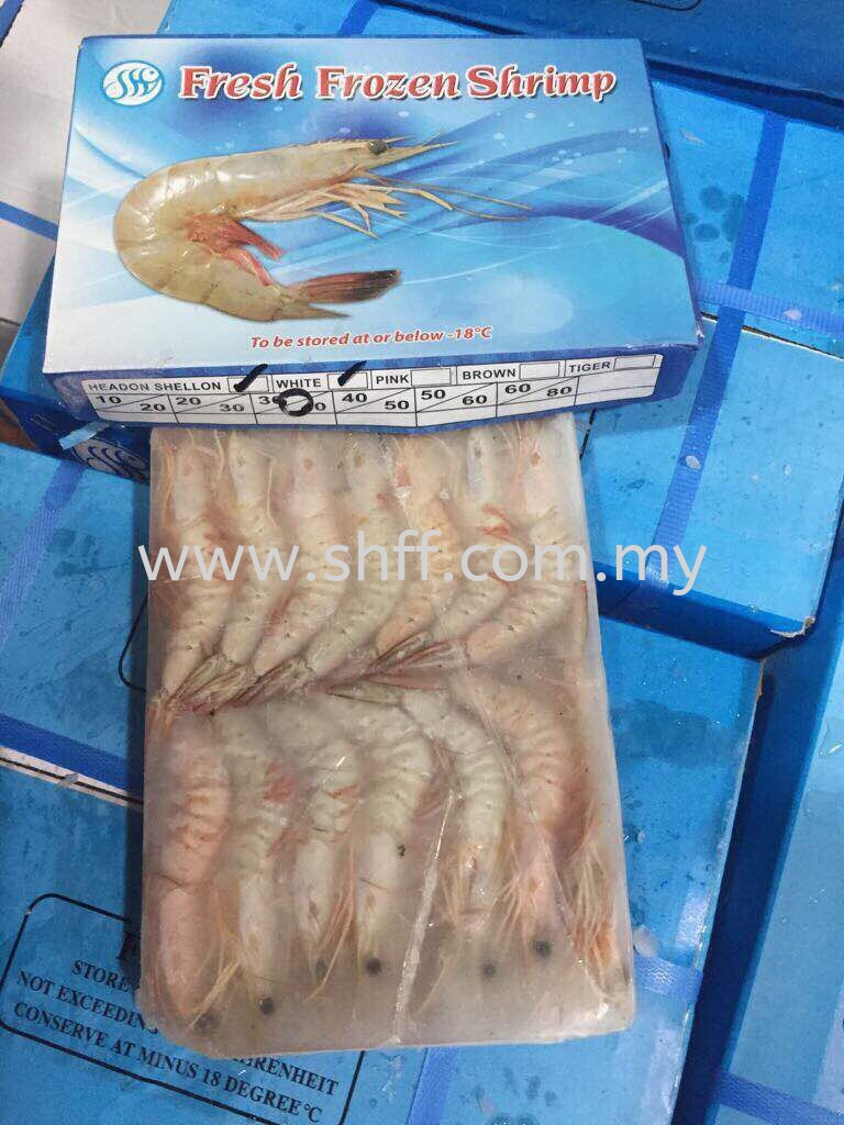 White Shrimp Frozen Shrimp Selangor, Malaysia, Kuala Lumpur (KL), Klang  Supplier, Importer, Supply, Supplies | Soon