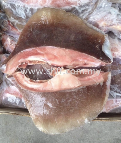 Stingray Wing Fillet (Isi Ikan Pari) 