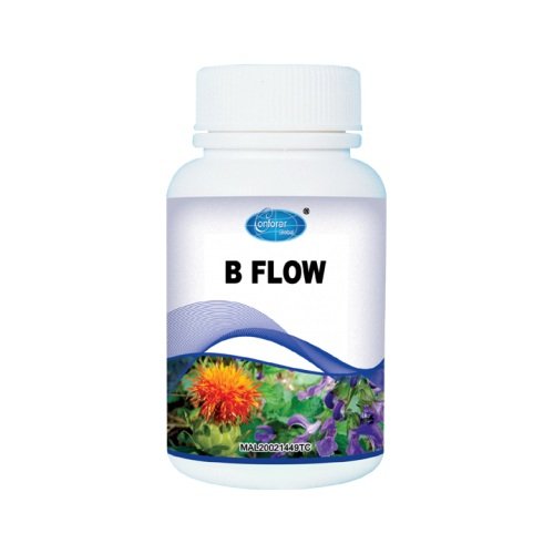 H005 B FLOW   H005 活血通絡寶