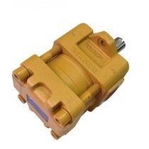 Internal Gear Pump QT Series Gear Pump Hydraulic Pumps Malaysia, Johor Bahru (JB), Plentong Supplier, Supply, Supplies, Wholesaler | Indraulic System Sdn Bhd
