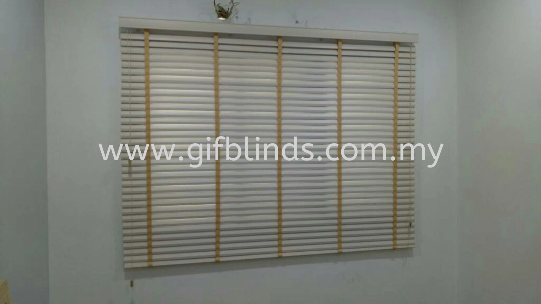 PVC Venetian Blinds 