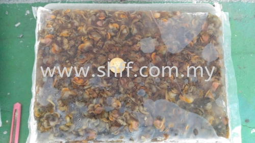 Clam Meat (Isi Kerang)