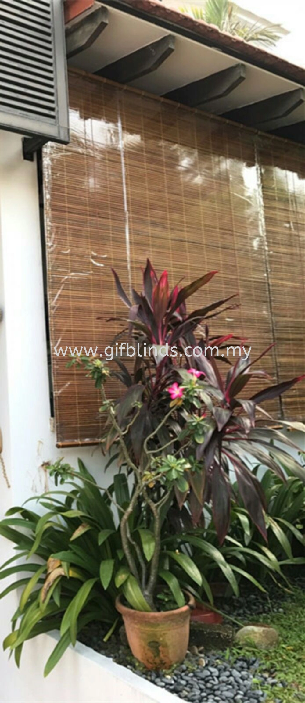 Outdoor Bamboo Blinds with Canvas