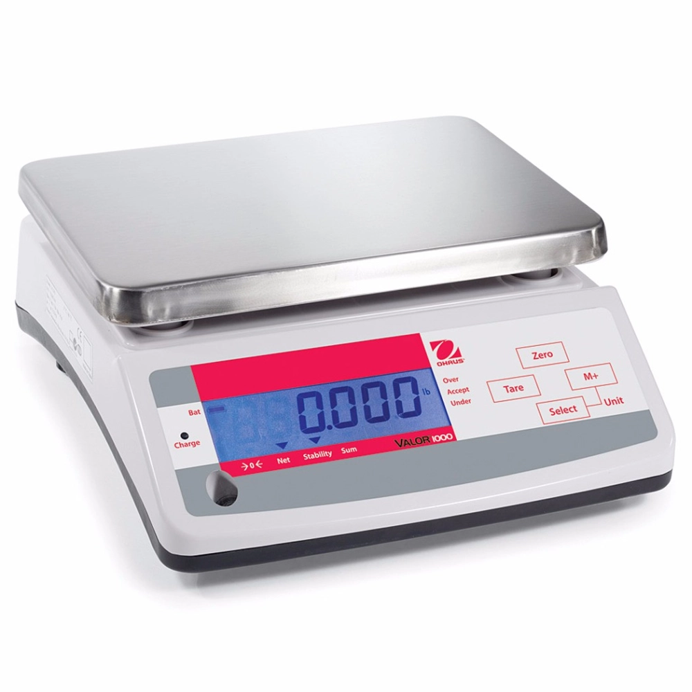 Bench Scales