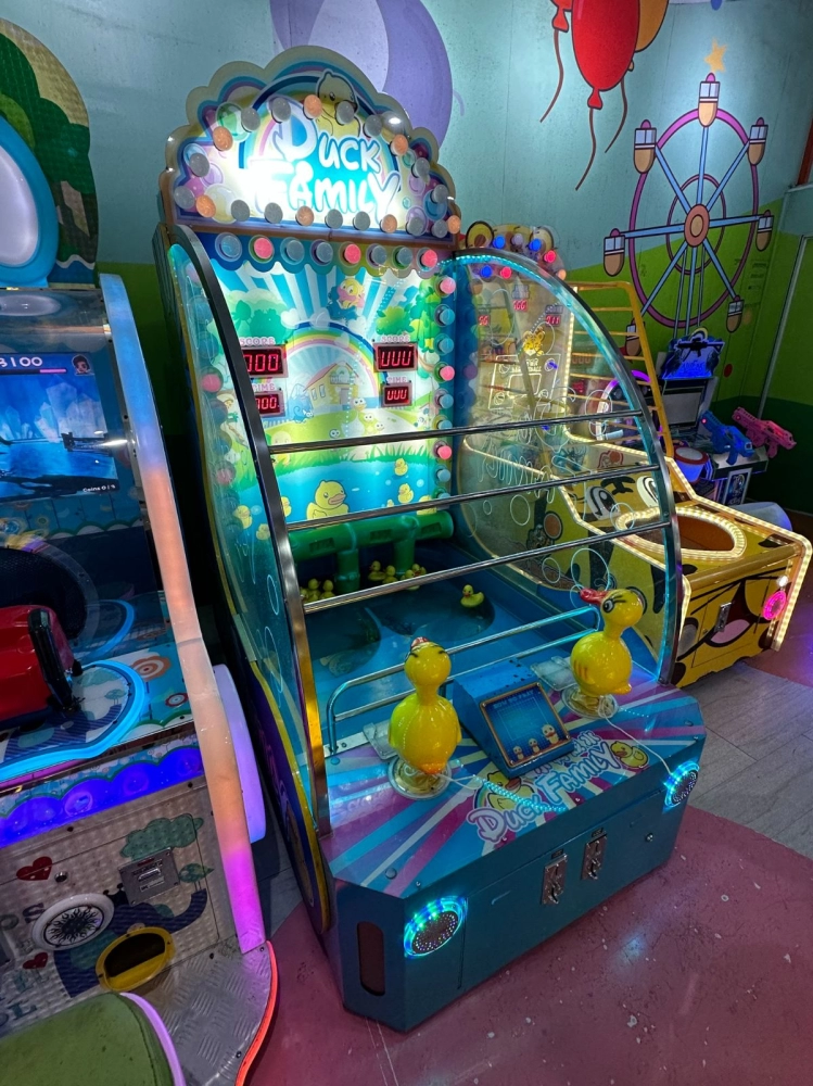 Chase Duck Game Machine