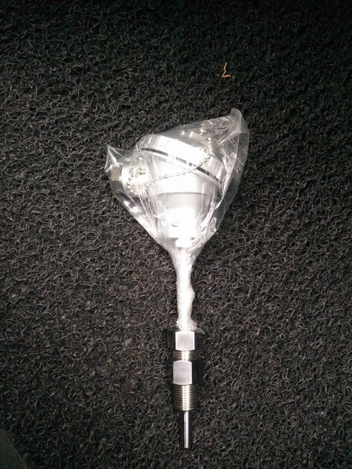RTD Probe PT100 