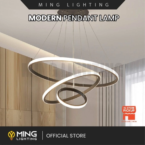 Modern Pendant Lamp 13688