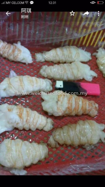 SLIPPER LOBSTER MEAT Frozen Lobster Selangor, Malaysia, Kuala Lumpur (KL), Klang Supplier, Suppliers, Supply, Supplies | Wei Chu Seafood Supply Trading Sdn Bhd
