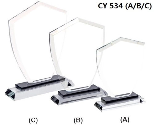 CY 534 (A)