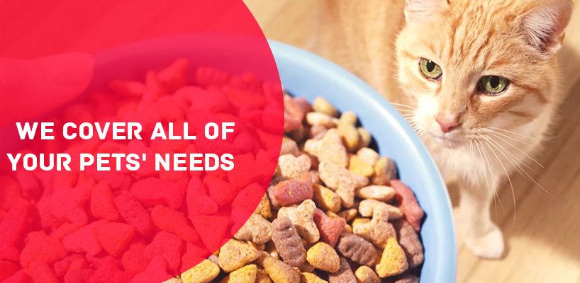 Pets Direct - Cat Food, Cat Accessories in Selangor, Malaysia 