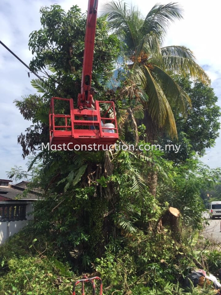  Tree Cutting Service Selangor, Kuala Lumpur (KL), Malaysia Contractor, Service, Company   | Mast Construction