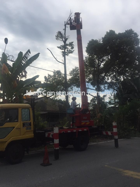  Tree Cutting Service Selangor, Kuala Lumpur (KL), Malaysia Contractor, Service, Company   | Mast Construction