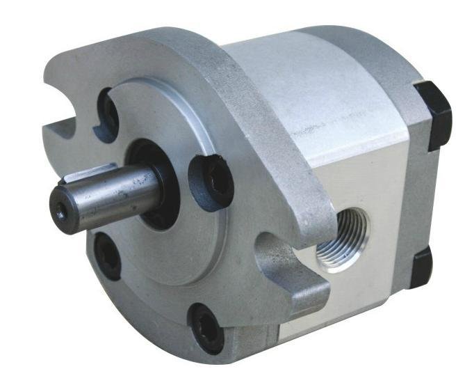 Group 1 Gear Pump