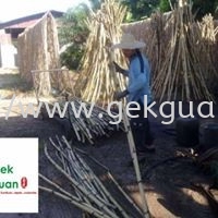 006 - RATTAN RAW MATERIAL