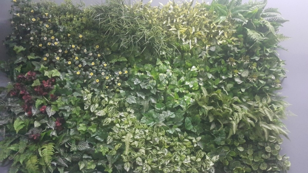  Office Green Wall Service Interior Landscaping Ideas Selangor, Malaysia, Kuala Lumpur (KL), Subang Jaya Services | Floral-s Enterprise