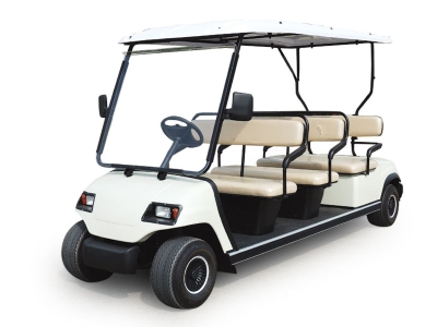 8-Seater Electric Buggy