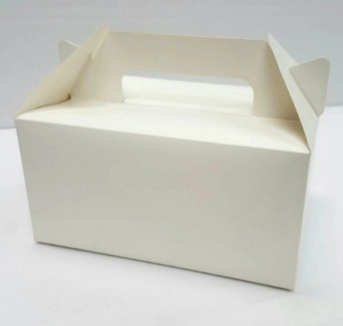 Packaging Box with Handle 