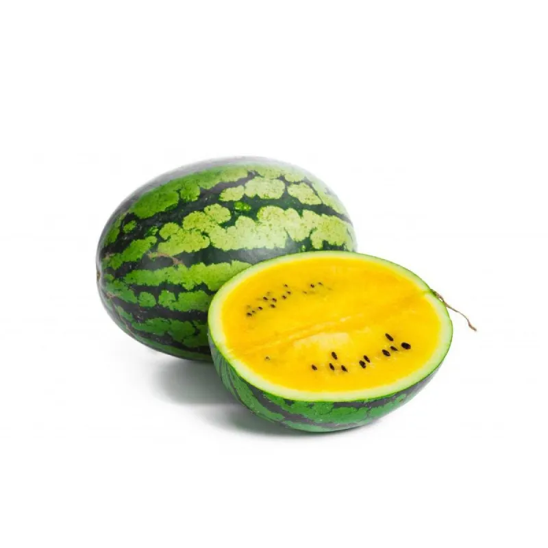 Melon