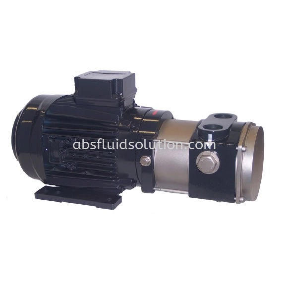 Liquid Ring Vacuum Pump