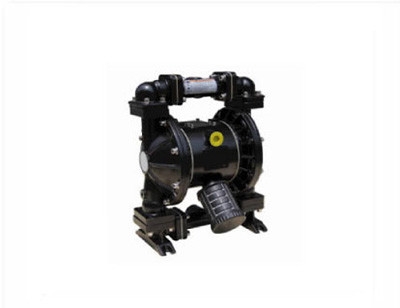 DW50AL Diaphragm Pumps Malaysia, Kuala Lumpur (KL), Selangor Supplier, Suppliers, Supply, Supplies | Budget Corporation Sdn Bhd