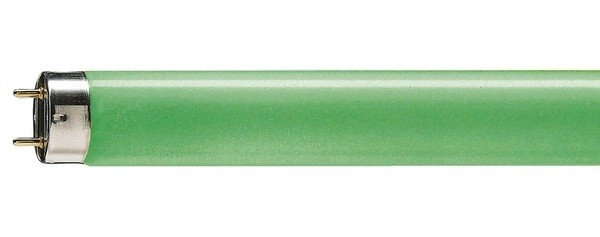 PHILIPS TL-D COLORED TUBE 36W/17 GREEN 871150064300140