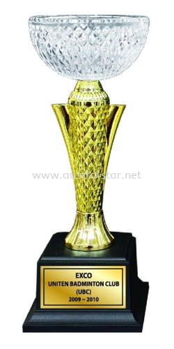 ACRYLIC TROPHY - AMT80